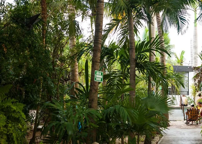 Oryx Tulum