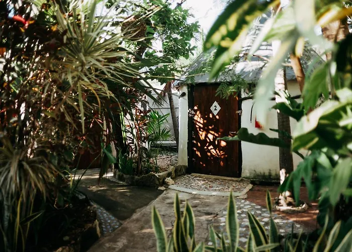 Oryx * Tulum