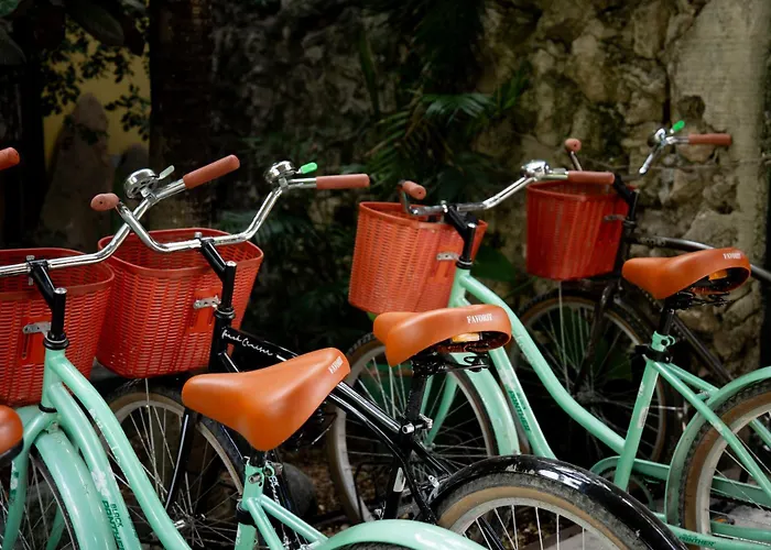Hostal Oryx Tulum